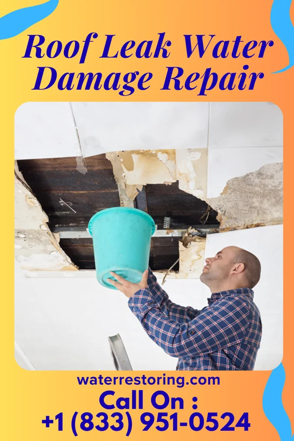 Roof Leak Water Damage Repair in Coralville, IA