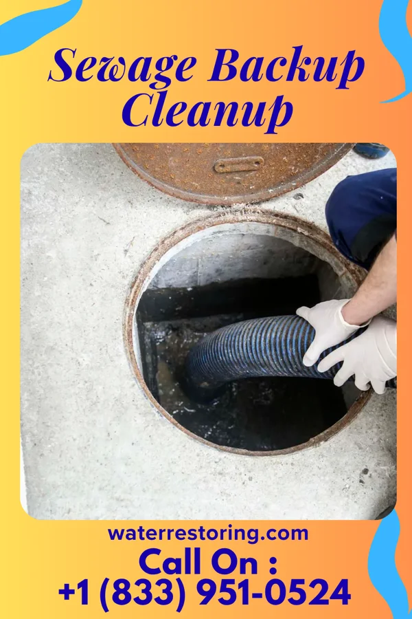 Sewage Backup Cleanup in Coralville, IA
